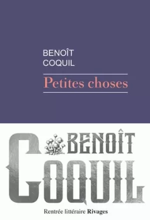Benoît Coquil – Petites choses